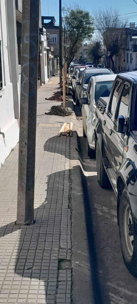 Reforestation and cleaning