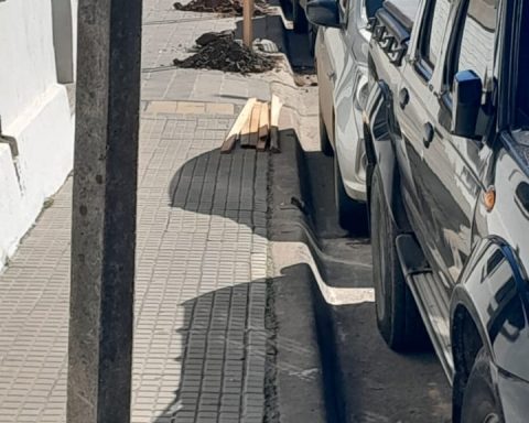 Reforestation and cleaning