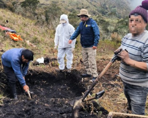 Remains of victims of political violence recovered after 33 years in Junín and Pasco