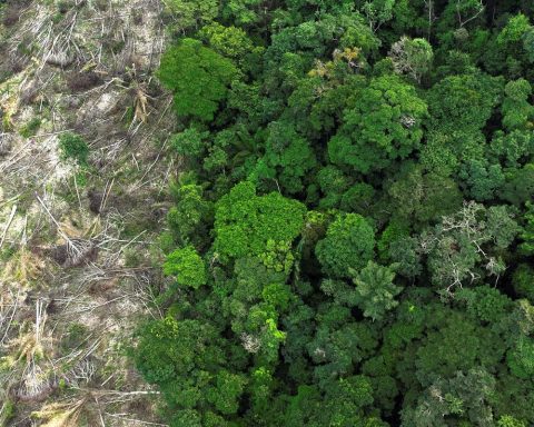 Research measures impact on climate change and deforestation in the Amazon