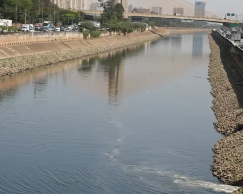 Rio Tietê remains vulnerable despite reducing pollution stain