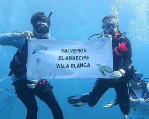 SEMARNAT Cancel Environmental Resolution of the Fourth Muelle Project in Cozumel