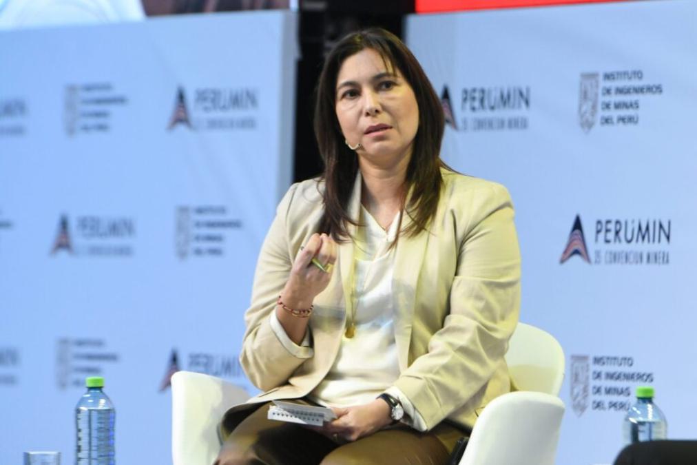 SNMPE: Single mining window does not speed up proceedings and subtract competitiveness