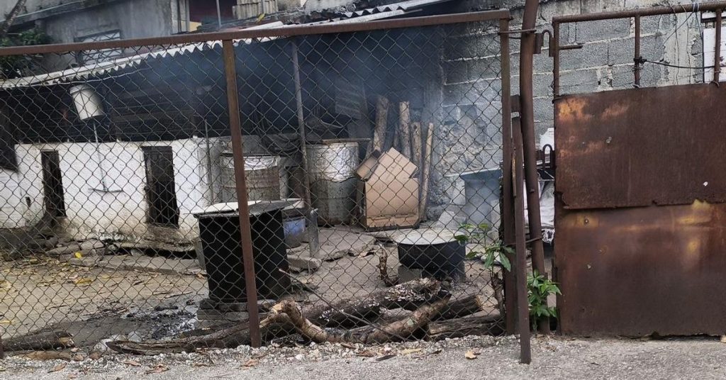 Salt and spices to hide rotting hamburgers