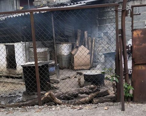 Salt and spices to hide rotting hamburgers