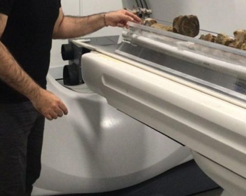 Scientists report Pliosáurido fossil, the oldest found in Colombia