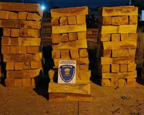 Seven people arrested for wood smuggling in Mérida
