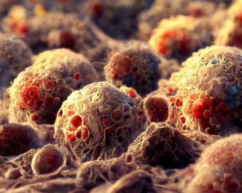 Seven viruses that can cause cancer