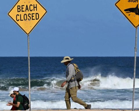 Shark kills a surfer in Australia beach