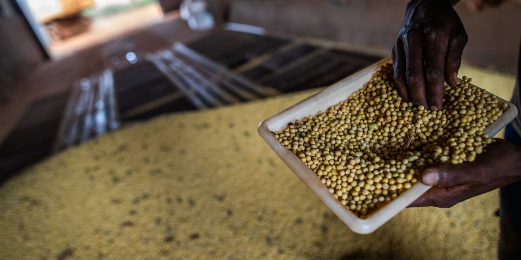 Sorriso, in MT, has the largest agricultural GDP in the country; See the ranking