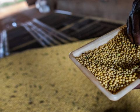 Sorriso, in MT, has the largest agricultural GDP in the country; See the ranking