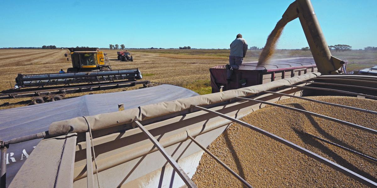 Soy futures mark minimum of six weeks