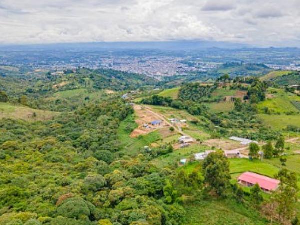 State Council admits demand against decree 033 for alleged expropriations