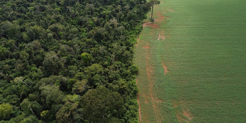 States and DF should standardize vegetation suppression authorization