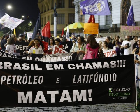 Support program for environmentalists arrives in Bahia this week