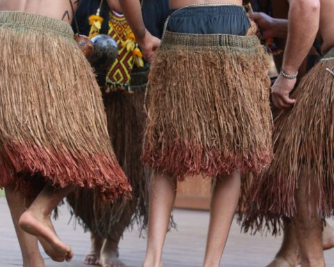 Sustainable turn celebrates 15 years with free and free programming