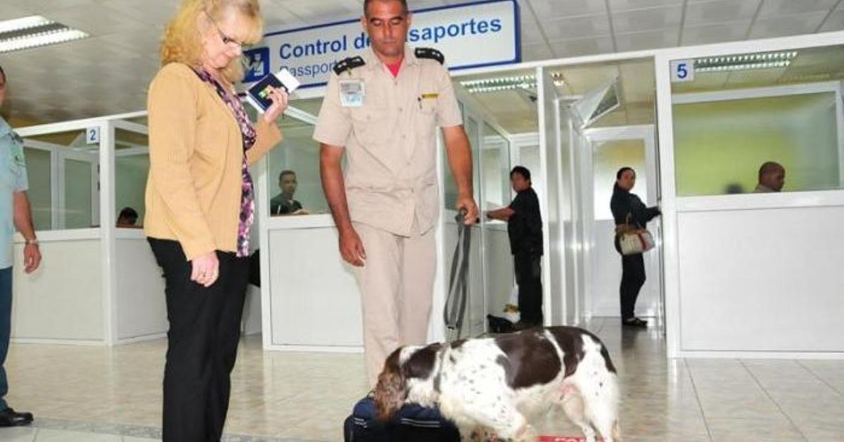 Synthetic drugs such as 'chemical' diversify and expand in Cuba