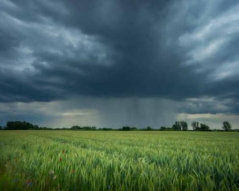 Take into account these security measures for the new rainy season of the year