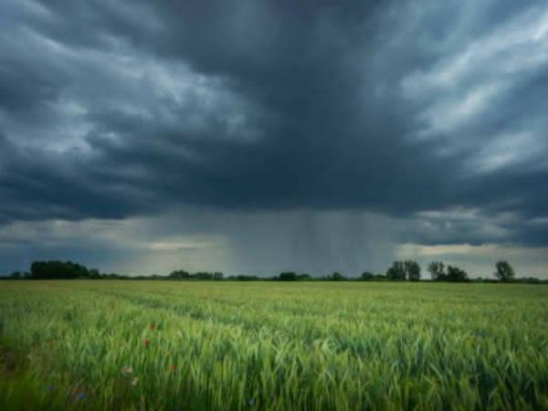 Take into account these security measures for the new rainy season of the year