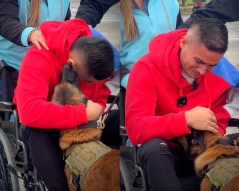Tears and hope: This was the reunion between police and his anti -narcotics dog, explosive attack survivors