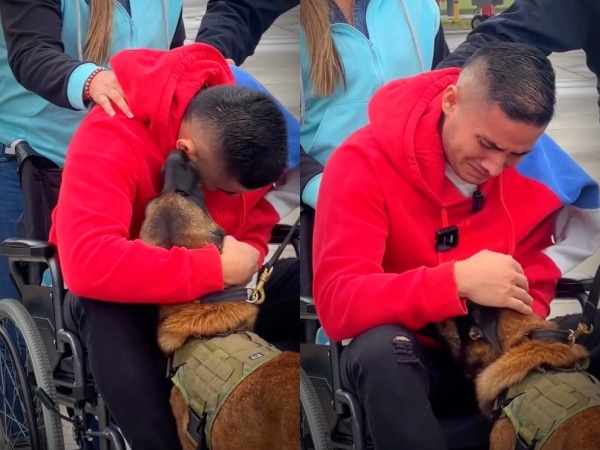 Tears and hope: This was the reunion between police and his anti -narcotics dog, explosive attack survivors