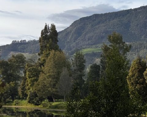 Facatativá, Cundinamarca.