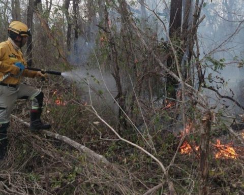 The Government declares red alert in Santa Cruz for the increase in forest fires