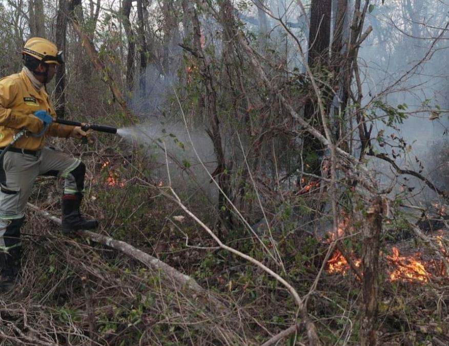 The Government declares red alert in Santa Cruz for the increase in forest fires