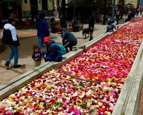 The International Art and City Biennial begins in Bogotá: Details of the celebration