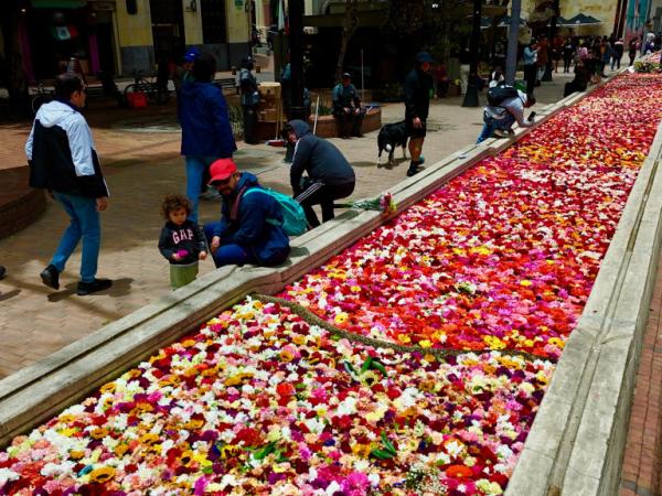 The International Art and City Biennial begins in Bogotá: Details of the celebration