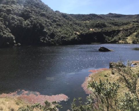 The beautiful place near Bogotá where you can get away from the routine