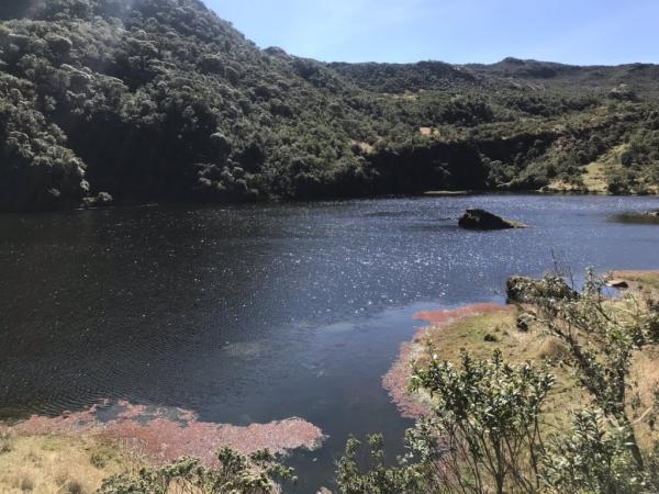 The beautiful place near Bogotá where you can get away from the routine