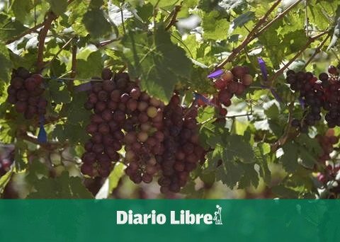 The border receives only 6.8 % of credits to agriculture