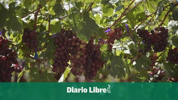 The border receives only 6.8 % of credits to agriculture