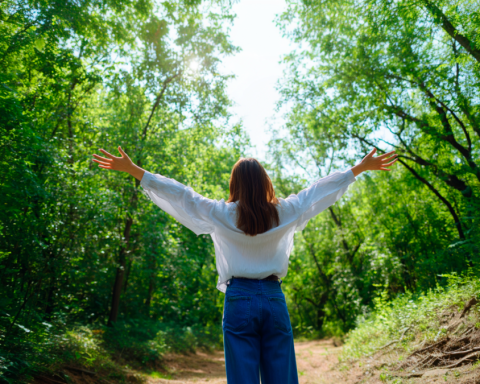 The forgotten lungs of the city: Why are trees a matter of public health?