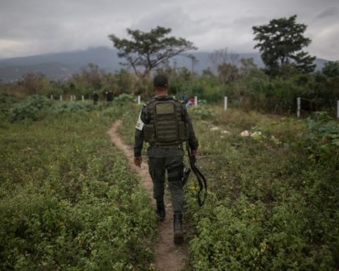 The impacts of Colombia's descertification on anti -drug fight