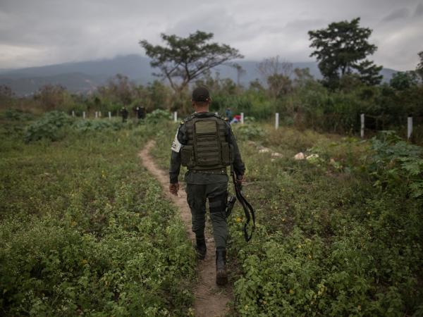 The impacts of Colombia's descertification on anti -drug fight