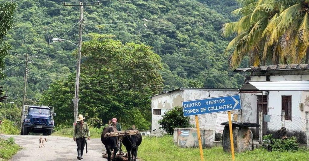 The niche remains a natural paradise despite abandonment