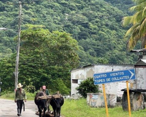 The niche remains a natural paradise despite abandonment