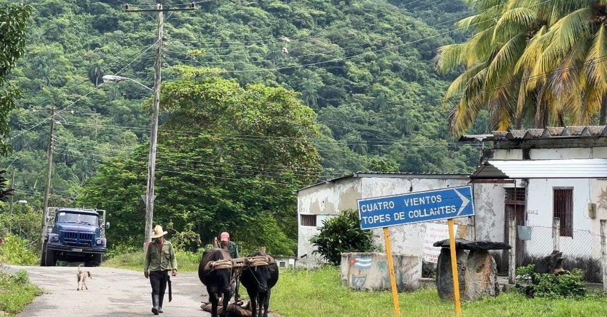 The niche remains a natural paradise despite abandonment