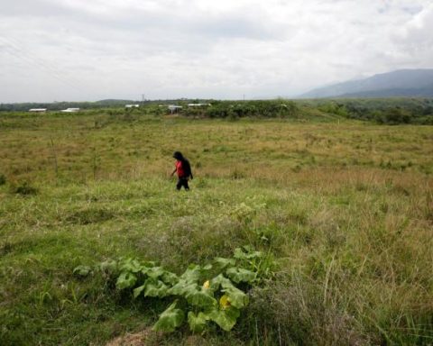 The regulatory scaffolding that regulates land property