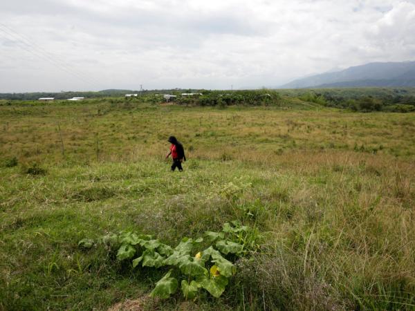 The regulatory scaffolding that regulates land property