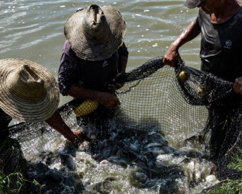 The second fish farm from Cuba, in crisis due to lack of energy, fuel and water
