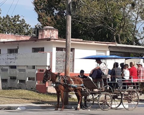 The sharp fall in cargo rail transport reflects the economic crisis