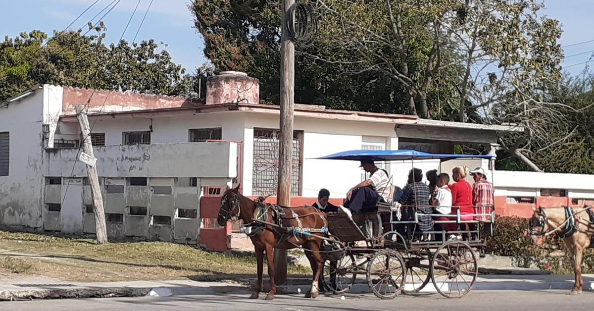 The sharp fall in cargo rail transport reflects the economic crisis