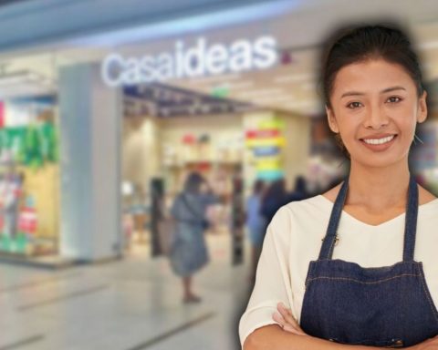 There is work: Check the job offers available at CASAIDAS