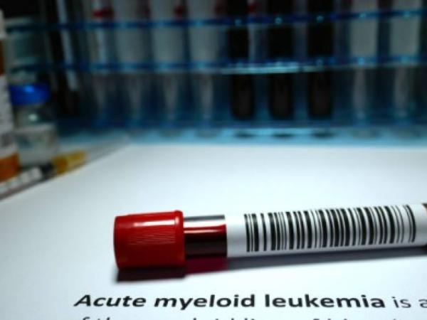 They alert avoidable deaths of patients with leukemia due to lack of medications