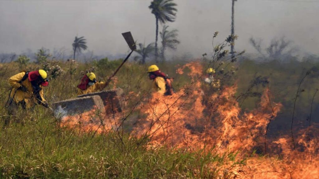 They control forest fire near Viru Viru without affecting air operations