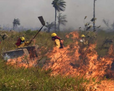 They control forest fire near Viru Viru without affecting air operations