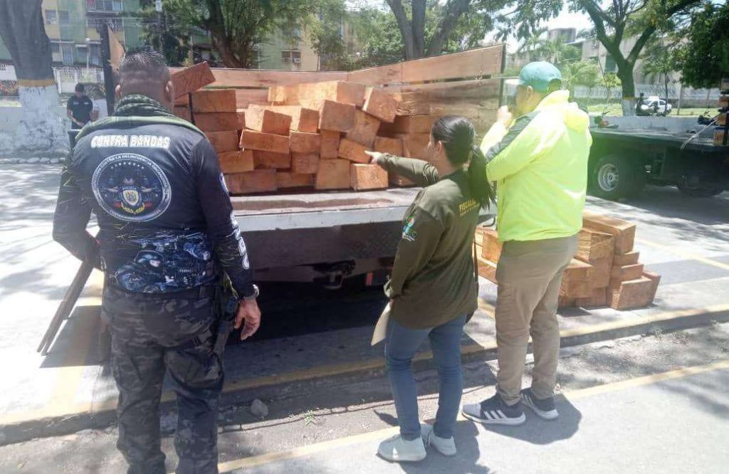 They seize wood of illegal origin and stop 7 people in Mérida